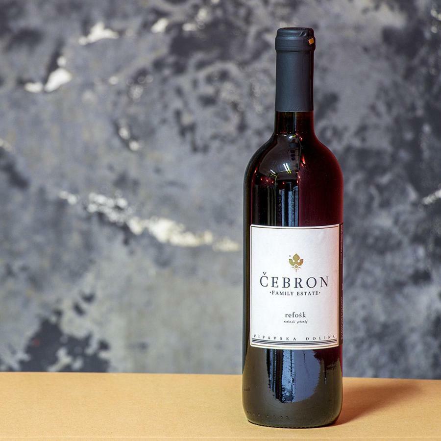 Отель Cebron Family Estate Branik Экстерьер фото